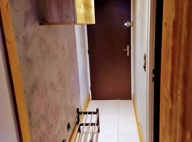 Mon Petit Montagnard! *